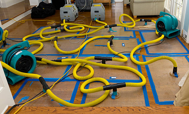Professional Basement Flood Cleanup technician working in Maryland, MD